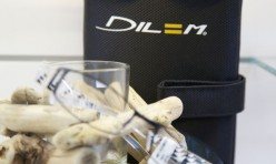 Dilem Fassungen mit wechselbaren Bügeln